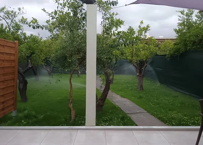 Olgas Cozy 아파트 하니아